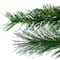 3ft. Unlit Two Tone Buckeye Glitter Pine Artificial Christmas Tree